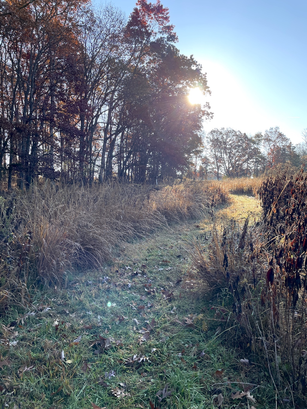 Hometown sentimental